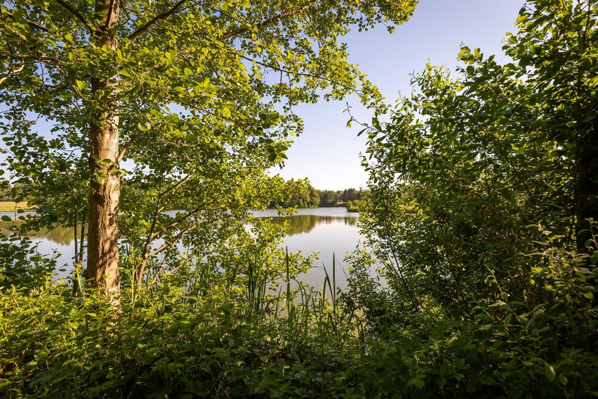 Ferienhaus Am Moenchneversdorfer See Schonwalde am Bungsberg Экстерьер фото